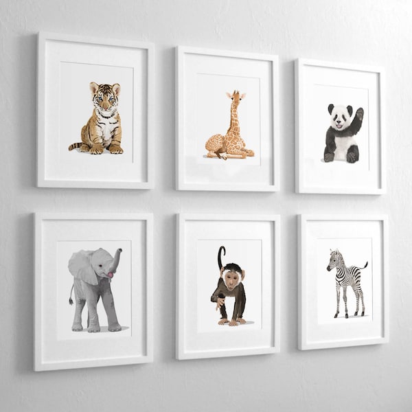 Baby Animal Nursery Art Prints,  modern minimalist nursery decor, - set of six unframed prints - safari animal, jungle animal childrens art