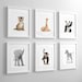 Baby Animal Nursery Art Prints,  modern minimalist nursery decor, - set of six unframed prints - safari animal, jungle animal childrens art 