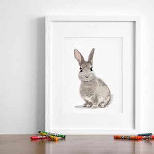 Bunny Rabbit Art Print, Baby Bunny Nursery Artwork, Baby Animal Art ...