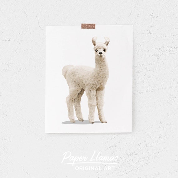 Baby Llama Art Print PRINTABLE DIGITAL DOWNLOAD Desert | Etsy