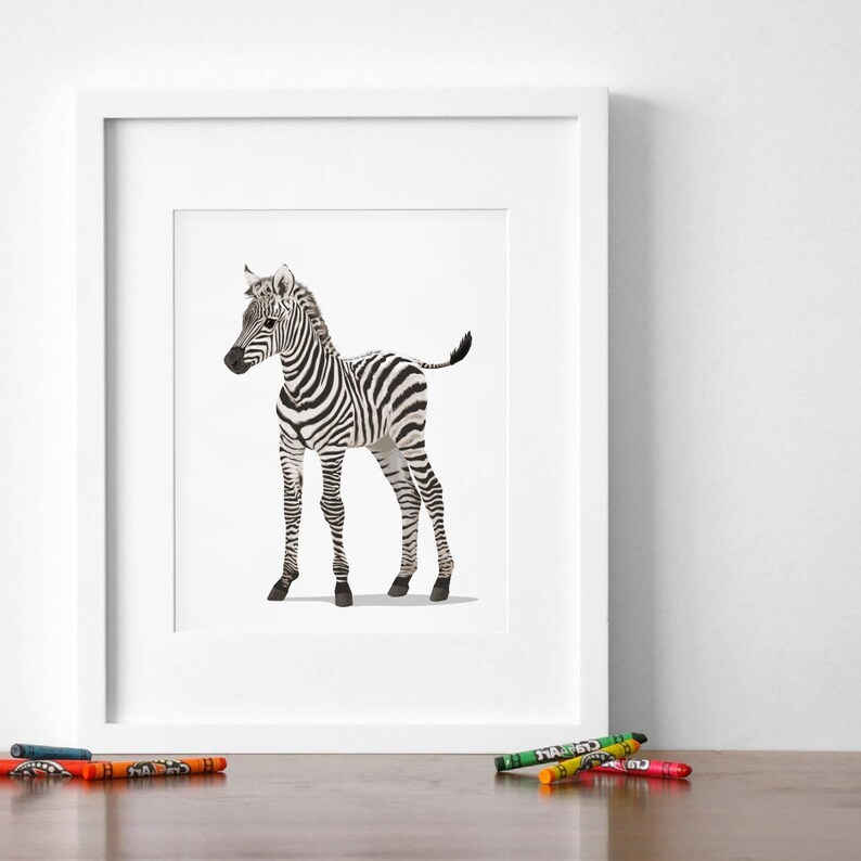 Animal Art Prints Set of Eight Unframed Prints Baby Zoo Etsy