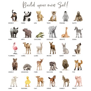 Baby animal nursery art pick any 3 unframed prints gender neutral nursery decor classic nursery art baby jungle animal image 7