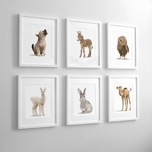 Desert nursery art, southwestern, simple modern adventure explorer baby animal art