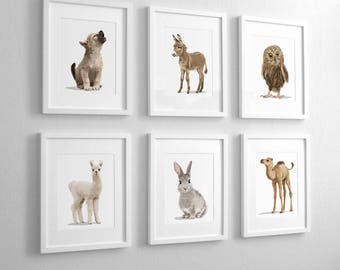 Desert nursery art, southwestern, simple modern adventure explorer baby animal art