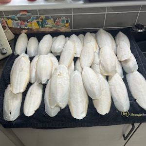 Puede incluir: Una colección de huesos de sepia blancos dispuestos sobre una toalla negra. Los huesos tienen forma ovalada y alargada, con una textura ligeramente rugosa. El fondo incluye una encimera con velas y objetos decorativos.