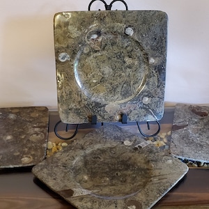 Orthoceras Ammonite Fossil 4 Polished Stone Plates Square 11.5 Inch Diameter