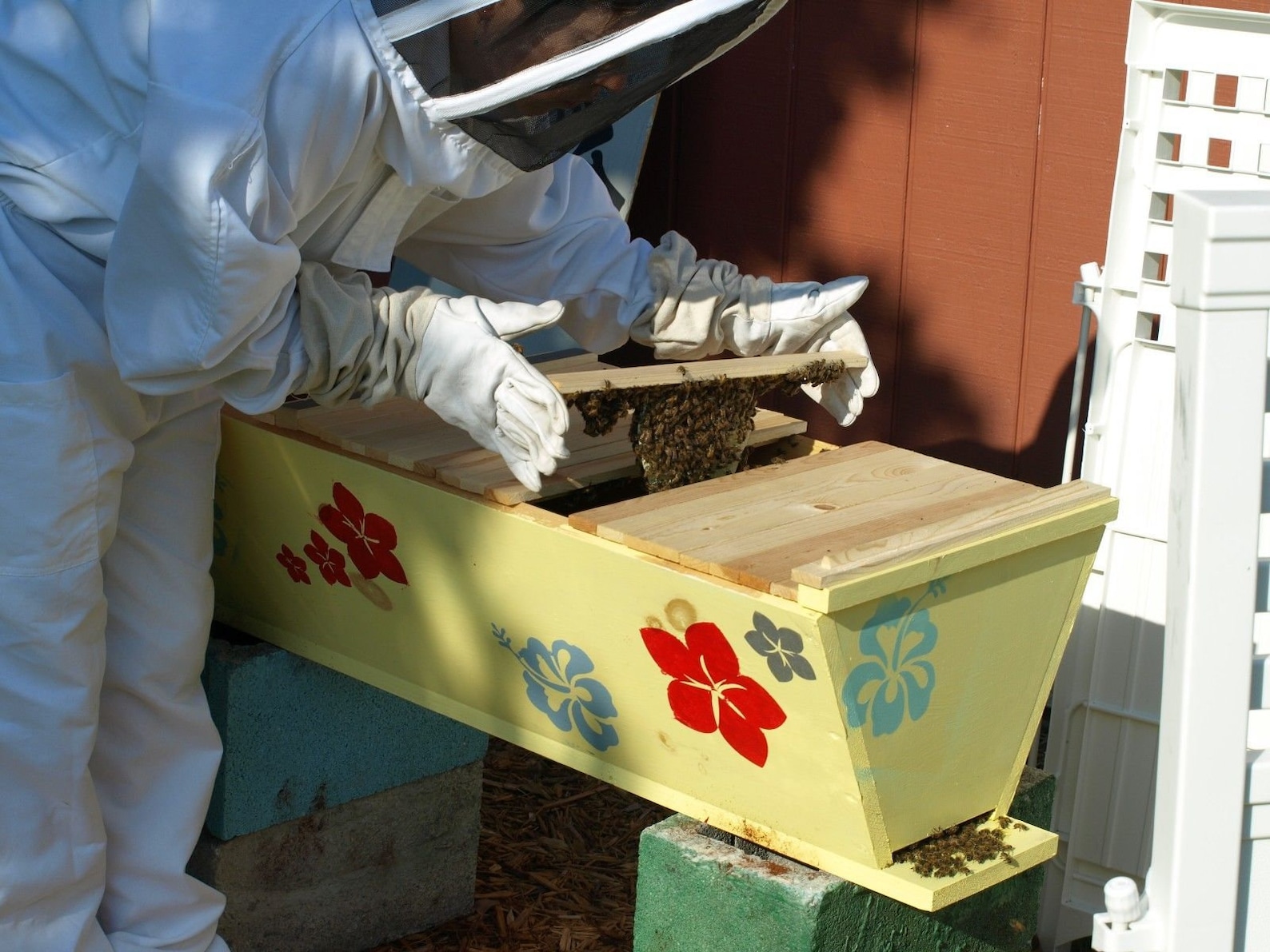 Bee Hive Top Bar With 20 Top Bars Backyard Bee Keeping Hive Etsy