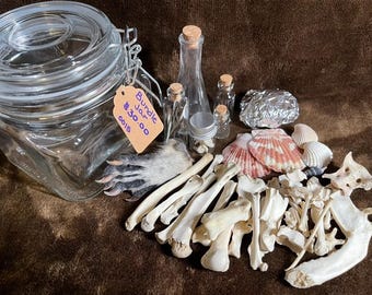 Oddity/ Curiosity Bundle Jar 0015