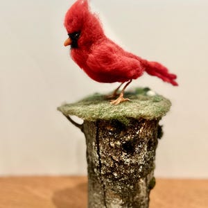 Lifelike needle felt Cardinal figurine, realistic artisan art