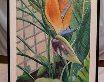 Bird of paradise at Longwood Gardens
