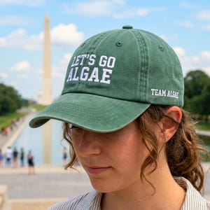 Embroidered Let's Go Algae Hat, Team Algae Protest Cap, Reflecting Pool Green