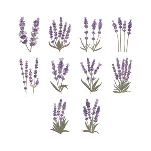 Lavendel bloem borduurontwerp, paarse botanische bloemen machineborduurbestand, Instant Download
