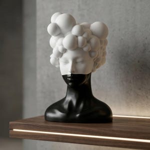 Può includere: Busto decorativo bicolore con volto di donna. La parte superiore della testa e i capelli a forma di bolla sono bianchi, mentre la parte inferiore del viso e il collo sono neri. Il busto è esposto su una mensola di legno.