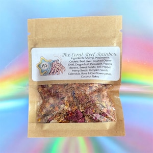 The Coral Reef Rainbow - Hermit Crab Food