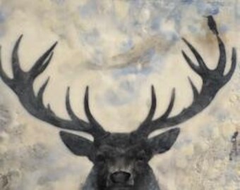 Where Stillness Meets Flight