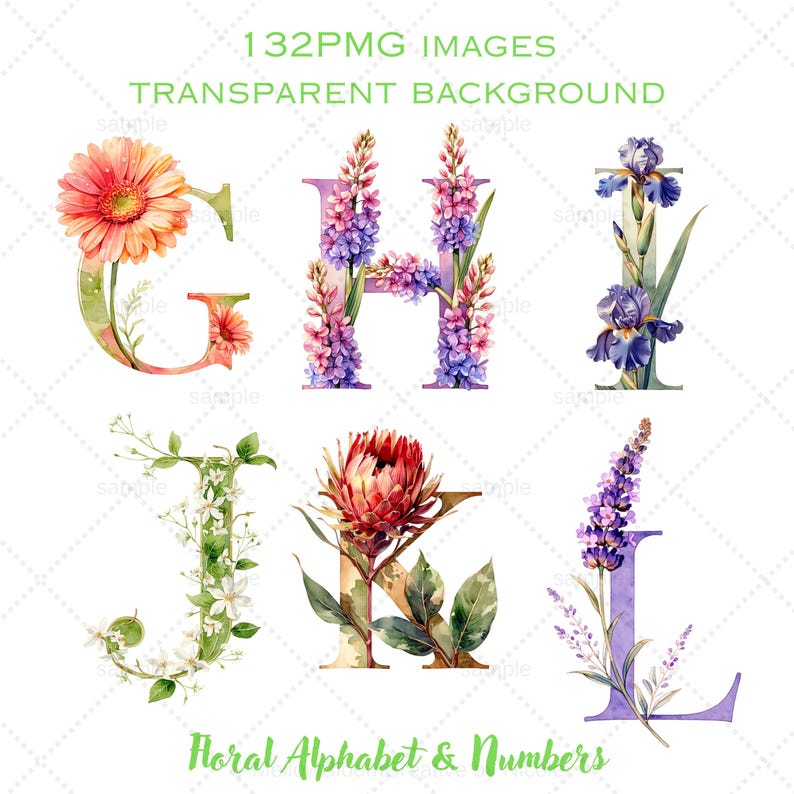 Floral Alphabet & Numbers Clipart Bundle – Hand-drawn PNG Graphics (36 ...