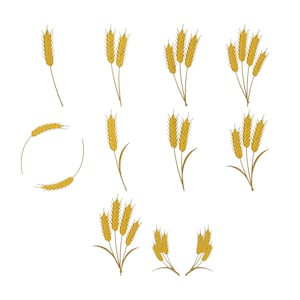 May include: A collection of stylized illustrations of wheat stalks in various arrangements. The wheat is depicted in shades of yellow and brown, with detailed textures. The image is set against a clean white background, highlighting the wheat.
