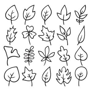 May include: A collection of twenty distinct black and white line art illustrations of various leaves. Each leaf is depicted with simple, clean outlines, showcasing a variety of botanical shapes, including serrated, lobed, and oval forms.
