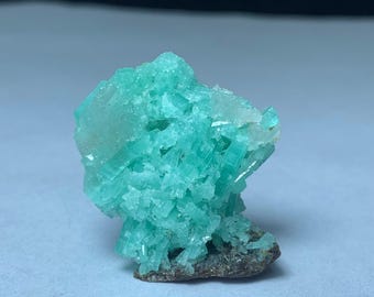 May include: A cluster of vibrant, crystalline mineral formations in shades of turquoise and light green. The mineral has a rough, textured surface and sits on a dark, earthy base. The crystals are clustered together.