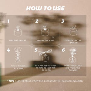 Pu&ograve; includere: Un grafico illustrativo intitolato HOW TO USE che mostra sei passaggi per un diffusore a bastoncini. Le fasi includono svitare il tappo, rimuovere il sigillo, riavvitare il tappo, aggiungere 5-6 bastoncini, girarli dopo 10 minuti e inserire i fiori secchi.
