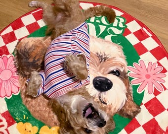 Custom Hand-painted Pet Rug, Personalized Dog & Cat Mat, Unique Birthday Gift