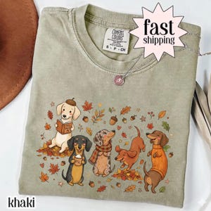 Peut inclure: Un t-shirt à col rond de couleur kaki avec une impression graphique de cinq teckels dans diverses poses sur le thème de l'automne, lisant un livre, tenant une boisson et portant une écharpe ou un pull, entourés de feuilles et de glands.