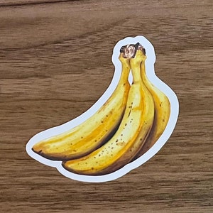 Autocollant découpé avec des matrices de régime de banane de Zazzle.be Liste d'envies Vous avez des idées ? Etudier l'anglais, journal, ordinateur portable, iPad, bouteille Sticker