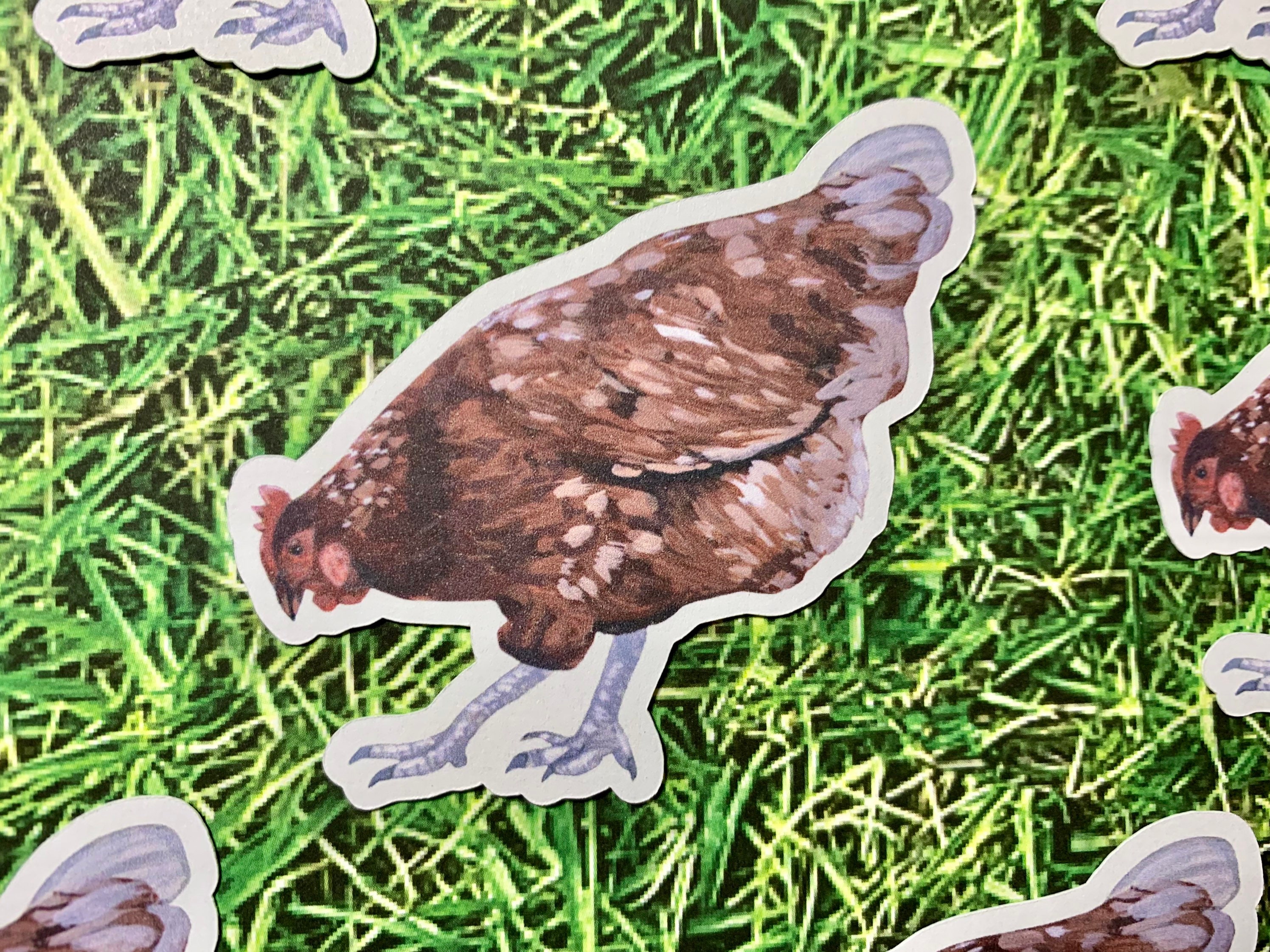 Chicken Die Cut Sticker | English Study, Journal, Laptop, Ipad, Bottle ...