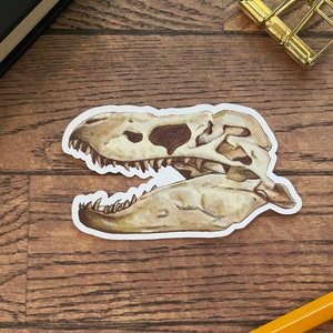 Puede incluir: Una pegatina troquelada con una ilustración detallada de un cráneo de Tyrannosaurus rex en tonos beige, marrón y crema. El cráneo del dinosaurio se muestra de perfil, revelando la mandíbula superior e inferior con dientes visibles.