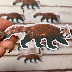Walking Red Panda Die Cut Pegatina / Estudio de inglés, Diario, Computadora portátil, iPad, Pegatina de botella