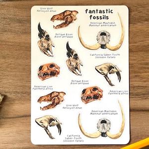 Stickervel fantastische fossielen | Engelse studie, dagboek, laptop, tablet, flessticker