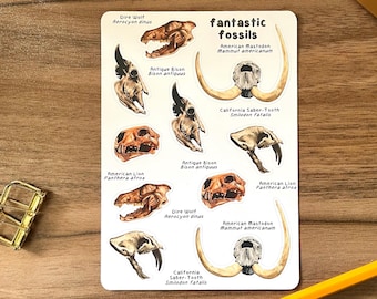 Hoja de pegatinas de fósiles fantásticos / Pegatinas para estudio de inglés, cuaderno, portátil, tableta y botella