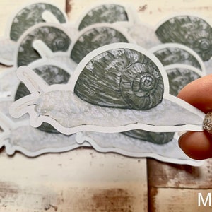Snail die geschnittene Aufkleber | Englische Studie, Journal, Laptop, iPad, Flasche Aufkleber