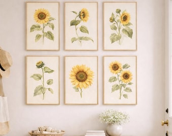 Juego de 6 láminas botánicas de girasoles, estilo vintage de granja con motivos florales (descarga digital)