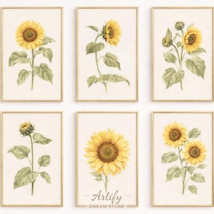 May include: Set of six framed botanical prints featuring watercolor illustrations of sunflowers. Each print showcases a different stage of the sunflower, from bud to full bloom, with green leaves and stems. The frames have a gold finish.