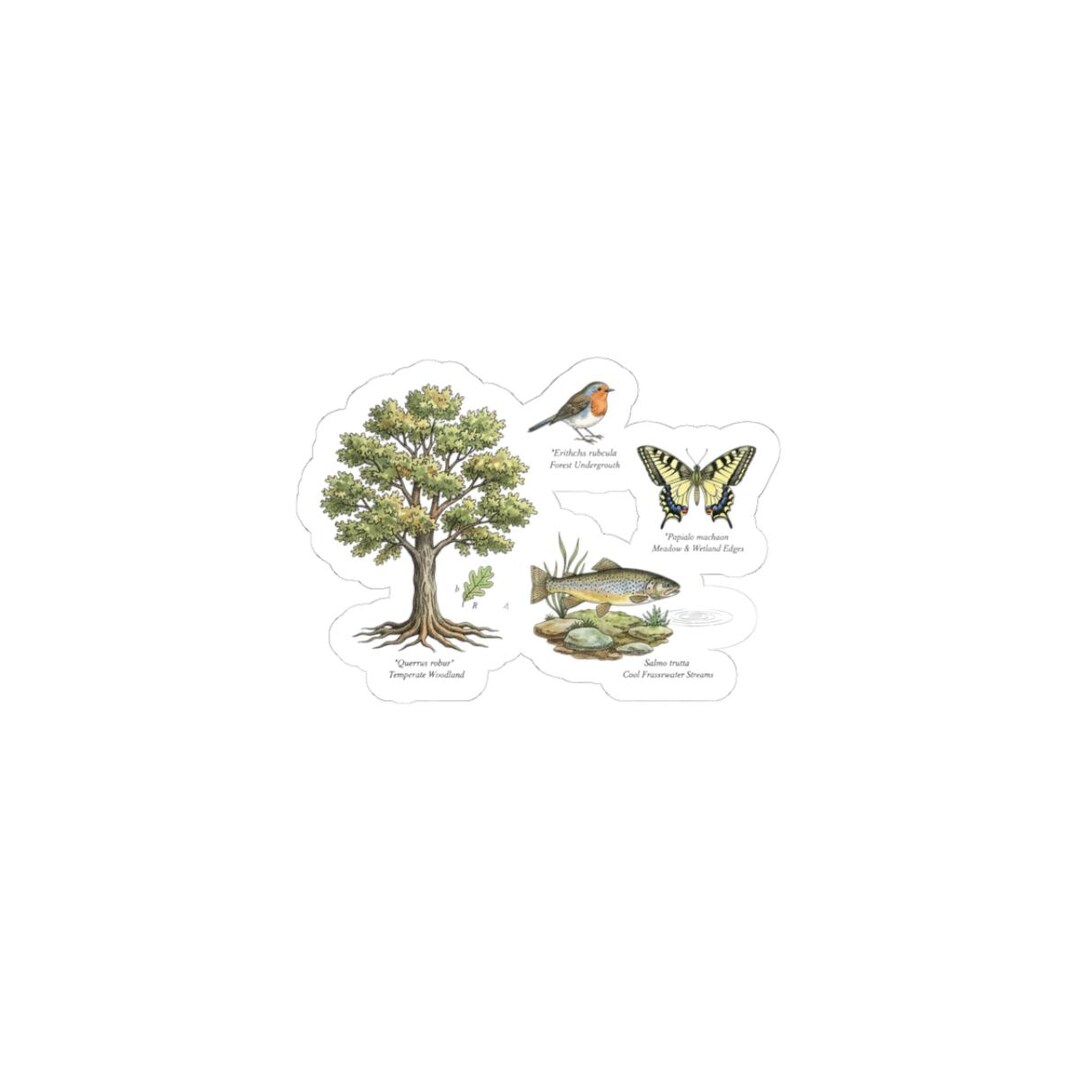 Taxonomy Stickers Vintage Animal Taxonomy Sticker Sheet | Labeled Fauna Plate ...