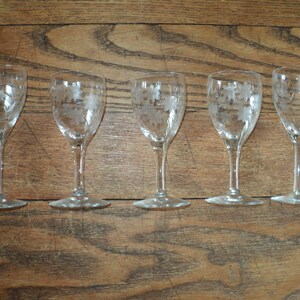 May include: Five clear glass cordial glasses with etched floral designs. The glasses are arranged in a row on a wooden surface. Each glass has a slender stem and a flared base. The etched design appears to be a leaf or floral pattern.