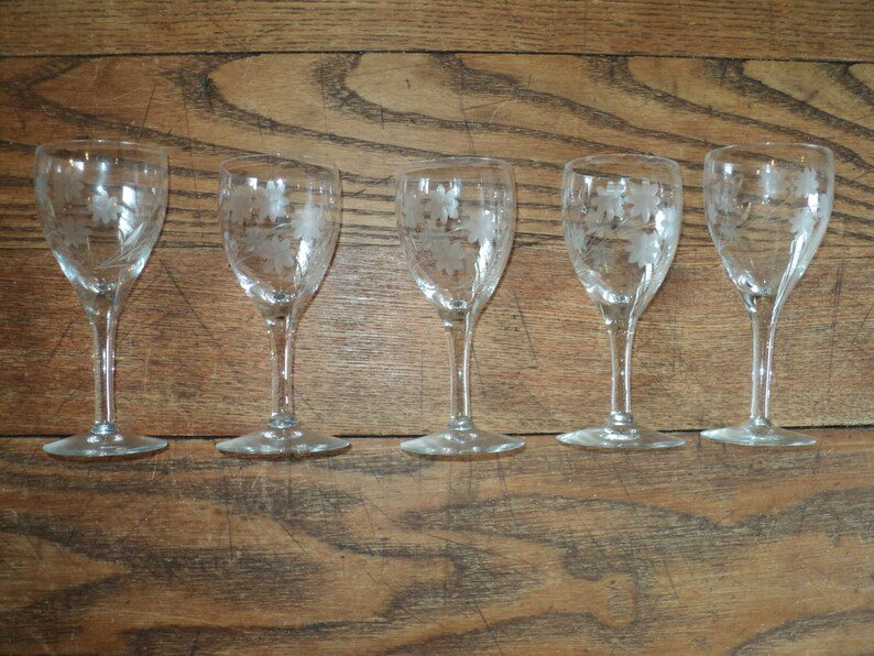 May include: Five clear glass cordial glasses with etched floral designs. The glasses are arranged in a row on a wooden surface. Each glass has a slender stem and a flared base. The etched design appears to be a leaf or floral pattern.