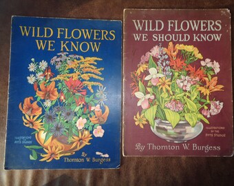 Antique 1929 "Wild Flowers" Pamphlets, Thornton Burgess, Pitts Studios