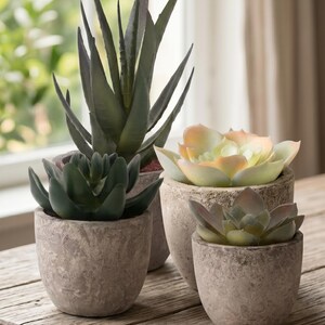 May include: A collection of four artificial succulent plants in textured, light grey stone-like pots. The plants include a tall, spiky dark green aloe-style succulent, a pale green and pink-tipped rosette, and two smaller dark green rosette succulents.