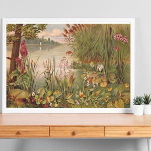 Könnte beinhalten: Ein gerahmter Vintage-Druck einer ruhigen Seeszene. Das Kunstwerk zeigt üppiges Grün, darunter hohe Schilfgräser, Seerosen und verschiedene blühende Pflanzen am Ufer. Ein Segelboot ist in der Ferne unter einem bewölkten Himmel zu sehen.