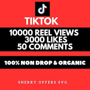 TikTok-Promo-Leitfaden | Digital Service | Sicher & Biologisch
