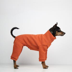 Peut inclure: Un petit chien portant une combinaison orange. Le chien est noir et marron, avec un col montant et des manches longues. La combinaison couvre les pattes et le torse du chien, sur fond blanc.