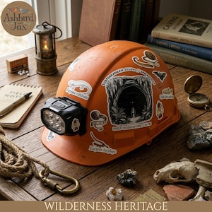 Può includere: Un casco arancione con una lampada frontale nera e vari adesivi, tra cui uno con un'illustrazione di una grotta e il testo "Subterranean Study // Speleology". Il casco è su una superficie di legno.