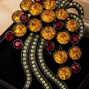 May include: A brooch shaped like a cluster of grapes, featuring large round amber-colored crystals, smaller round deep red crystals, and curved stems encrusted with tiny light green crystals set in a dark metal frame.
