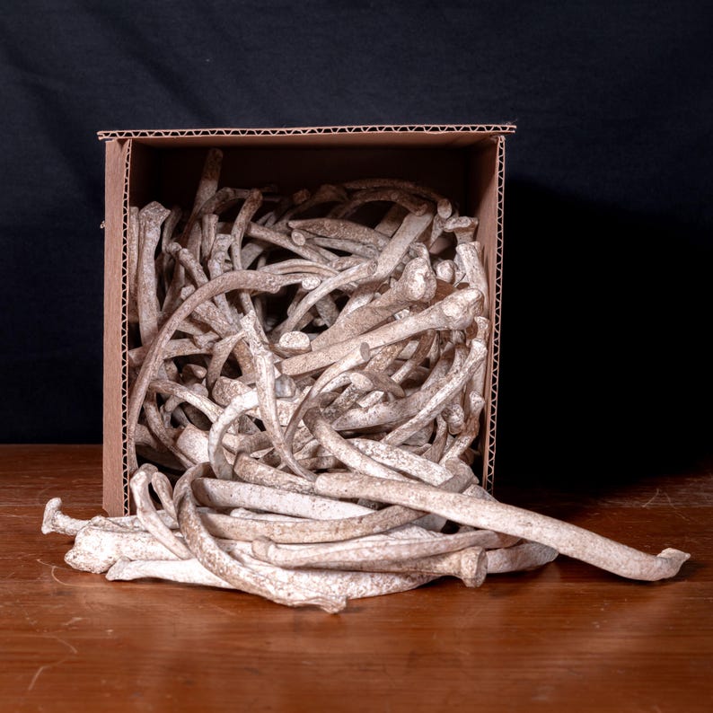 Box of Bones - Movie/Film Prop Fake Bones Variety bild 1