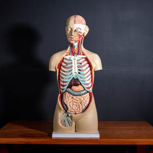 May include: A white ceramic mug with a black handle and the text "But First, Coffee" in a handwritten style. The mug is on a white surface. The mug is approximately 4 inches tall.