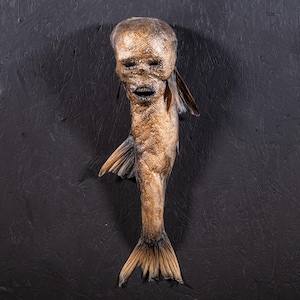 May include: A taxidermied fish with a human-like face, featuring a textured, scaly appearance. The creature has a wide mouth and a fish tail. The color palette is primarily brown and tan, set against a dark background.