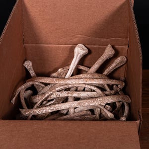 Box of Bones - Movie/Film Prop Fake Bones Variety bild 8
