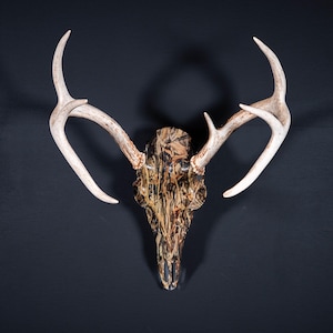 Hydro-Dipped Camo Design Deer Skull with Antlers